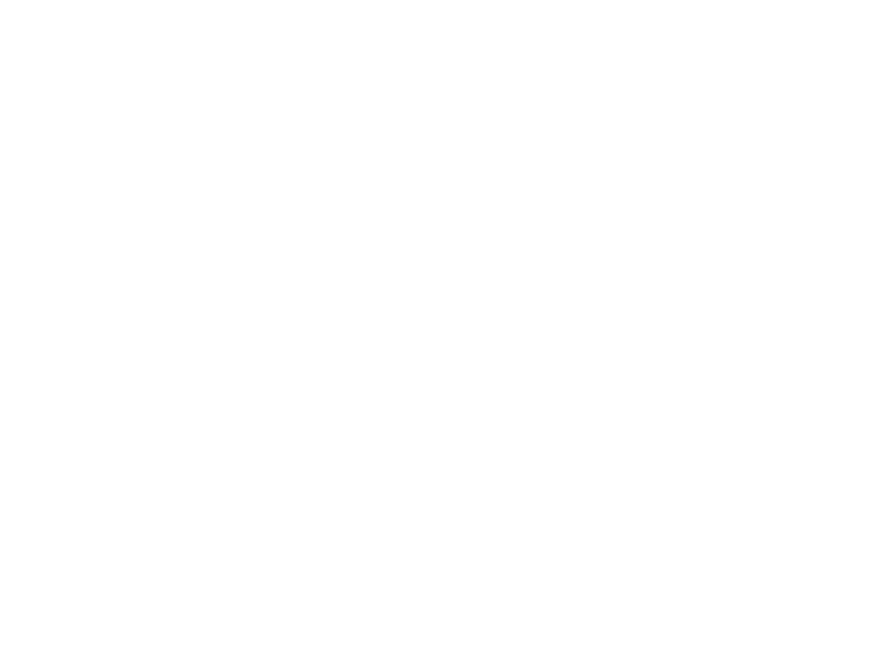 Lyon Financial Logo